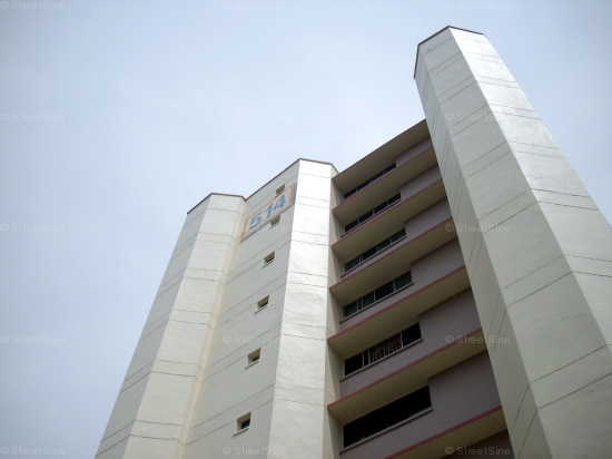 Jurong West Street 52 thumbnail photo
